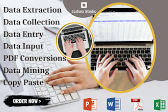 do data entry, input, collection, extraction and data mining