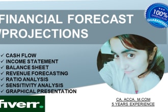 build a financial model, projections, forecasts for your business