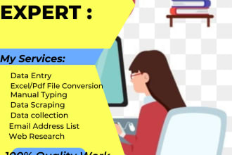 be your VA for e commerce data management