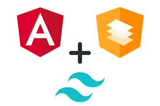develop angular front end web app and fix bug in angular