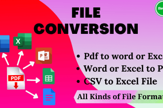 do convert any type of files pdf, CSV, excel, word, docs within 24 hours