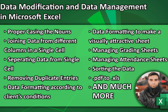 do data modification and data management on microsoft excel