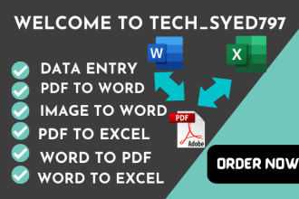 do data entry, pdf to word, pdf to excel, image to word