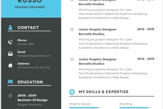 design director and ceo level job winning resume and cover letters in 1 day