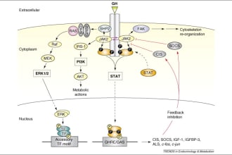 create reports on cell signaling research