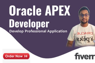 develop custom web application using oracle apex