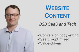 write website copy for your b2b tech company