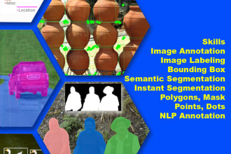 do image annotation, segmentation, bounding box,  data labeling