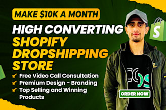 setup shopify professional store or shopify website