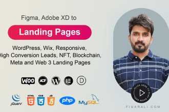 build modern effective and optimized landing page