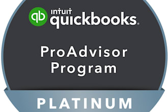 do virtual quickbooks online accounts data audit diagnosis