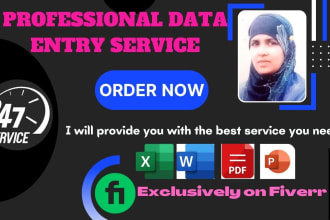 do data entry, data mining