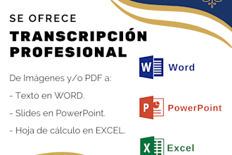 transcribir imágenes y archivos a texto en 24 horas