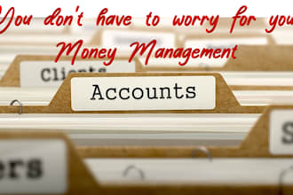 manage all your accounts ledgers and entries