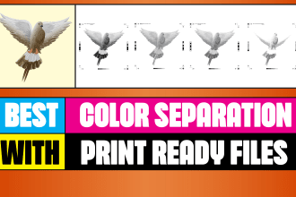 do color separation vector tracing for screen printing