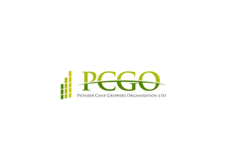 design best quality sugar cane farmers logo with a modern feel