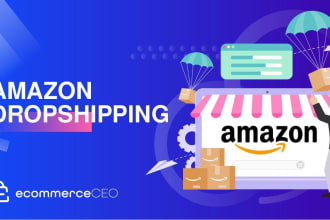 be your amazon dropshipping VA walmart to amazon