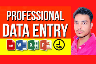 do data entry, web research, copy paste, excel data entry, pdf conversion