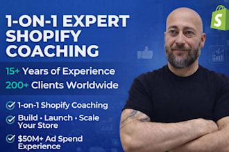 provide 1 on 1 shopify coaching, mentoring and consulting