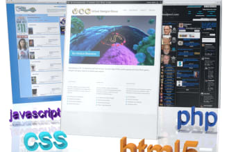 fix, update or manage your website design or code