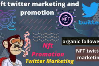 do fast nft twitter growth, promotion, and marketing