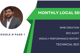 provide monthly local SEO services for gmb ranking