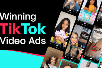create, setup and run tik tok ads campaigns, tiktok ads
