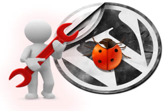 fix,install, move, optimize wordpress blog or install plugins