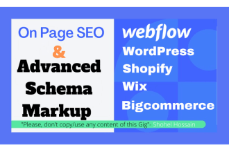 do schema markup, SEO on webflow, wordpress, shopify, wix