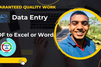 accurate typing , fast data entry,convert PDF to excel