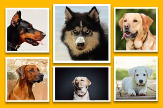 make a beautiful  photo collage from your photo album editing
