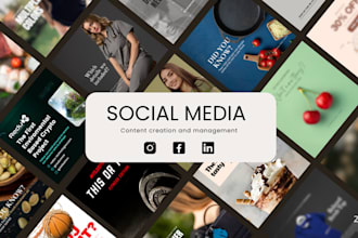 be your social media content creator and manager