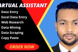 do accurate data entry copy pest web research, typing