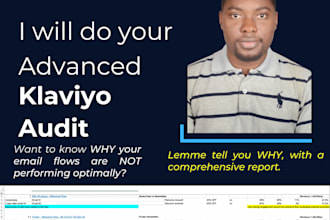 do a complete klaviyo account audit of your flows, campaigns