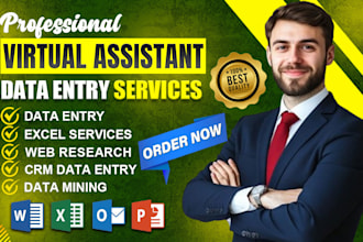 be your expert data entry virtual assistant VA and professional data entry VA