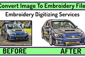 convert image to embroidery pes dst file in 3 hours