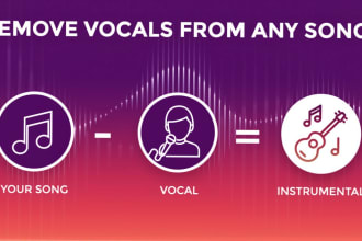 remove vocals from a song and make a karaoke track