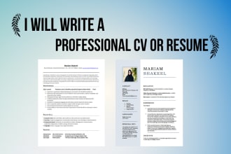 write a professional CV or resume for you to get a job