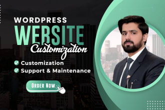 do wordpress website customization, edit wordpress, and provide support