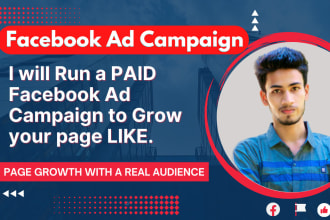 do facebook marketing, advertising, ad campaign to grow your page
