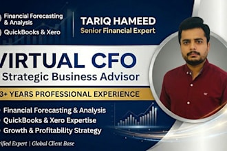 be your virtual cfo and financial consultant for strategic business growth