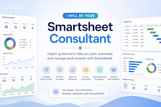 your smartsheet expert and consultant