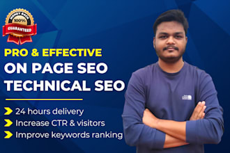 pro onsite SEO and fix all semrush technical errors in 1 day