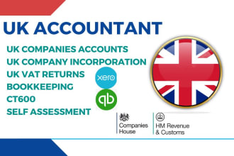 prepare and file UK companies accounts tax and vat returns