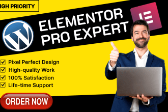 be your elementor pro, elementor expert for the wordpress website