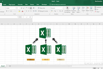create excel sheet , macros, word data entry and result