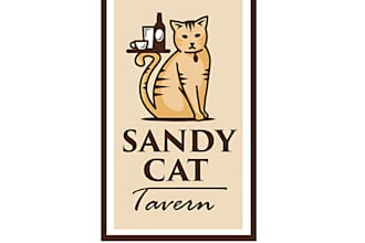 do unique cat, dog or cute animal pet logo or any graphics design