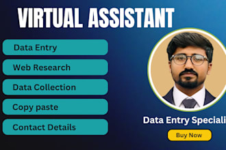 do data entry,copy paste, real estate and email collection