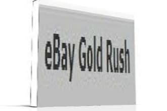 give you book eBay Gold Rush