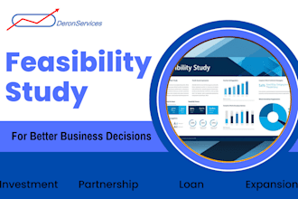 create investor ready feasibility study with financial model